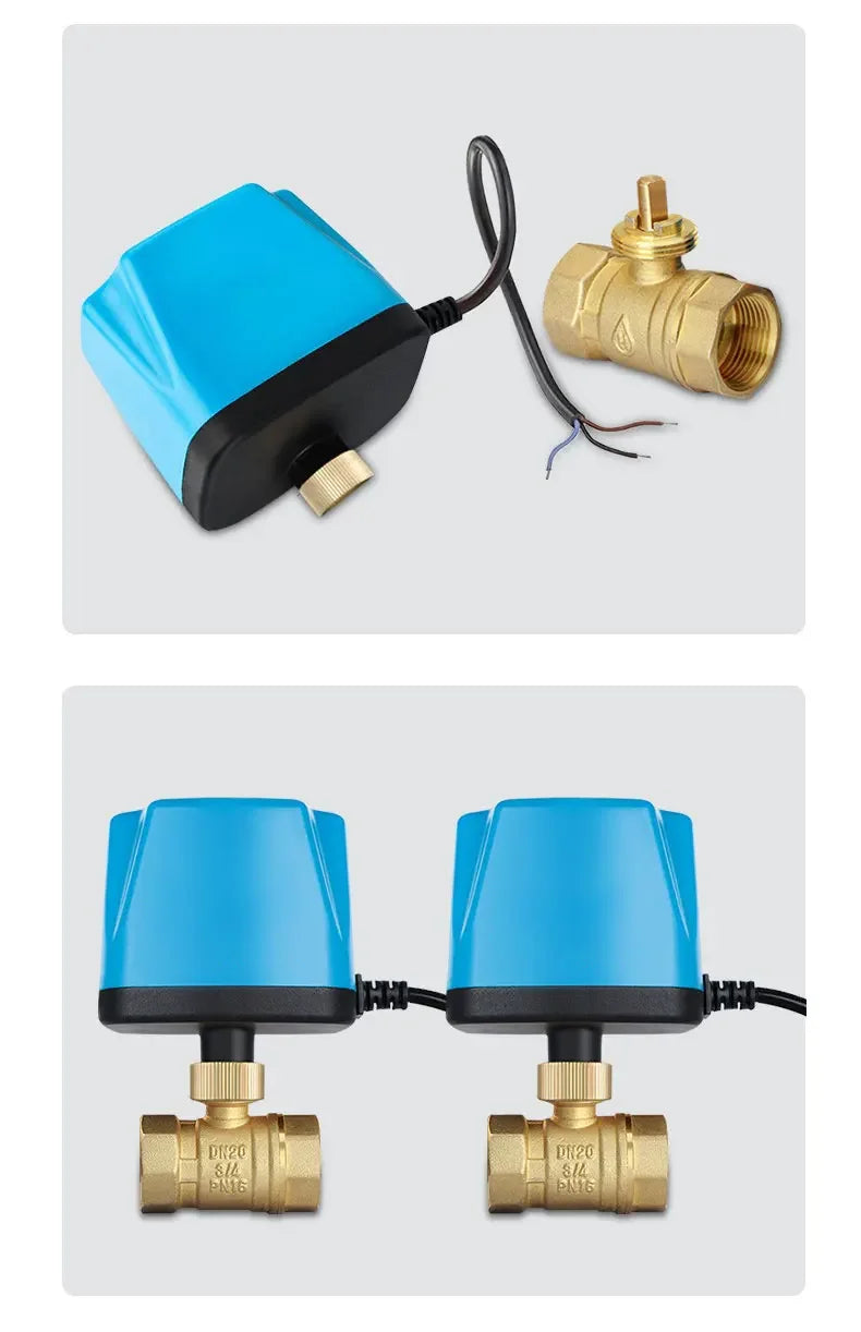 DN15 DN20 DN25 DN32 DN40 DN50 Normally Closed Motorized Ball Valve 220V 12V-24V 3-Wire 2-Control Brass Electric Solenoid Valve