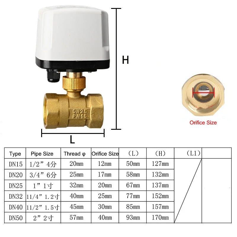1/2" to 2" Normally Closed 220V 12V 24V IP65 Waterproof Solenoid Valve 2-Wire Brass Motorized Electric Ball Valve for Water Oil