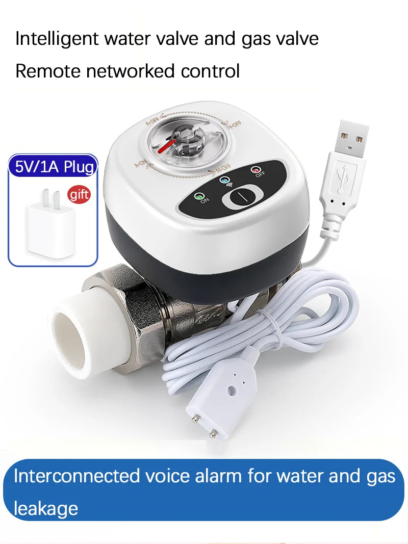eWelink APP WiFi Smart Valve Water Gas Shutoff Automated Ball Valve DN15/DN20/DN25 Wireless Control For Alexa Google Alice