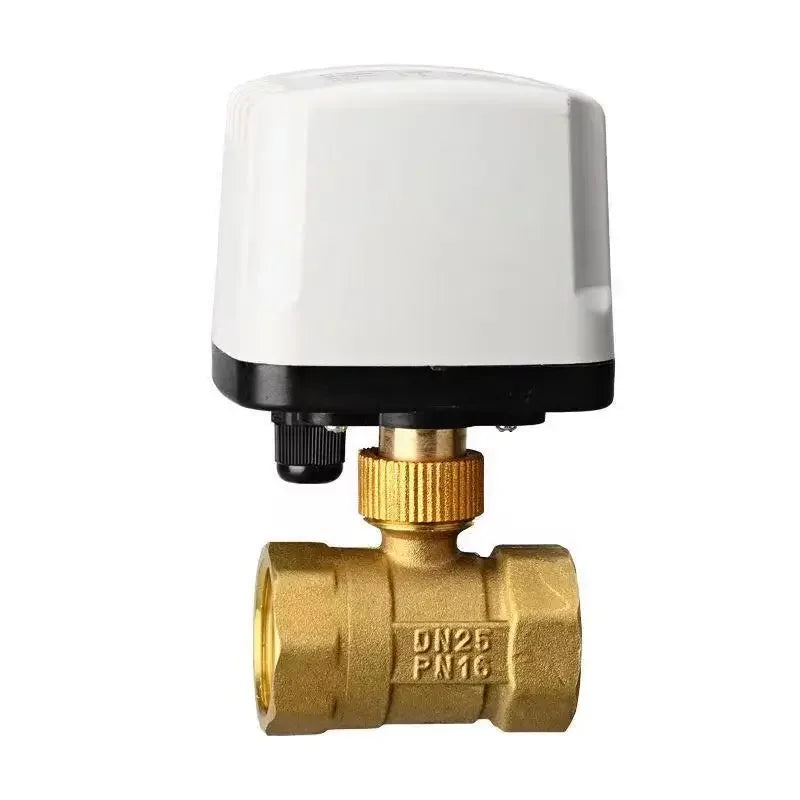 1/2" to 2" Normally Closed 220V 12V 24V IP65 Waterproof Solenoid Valve 2-Wire Brass Motorized Electric Ball Valve for Water Oil